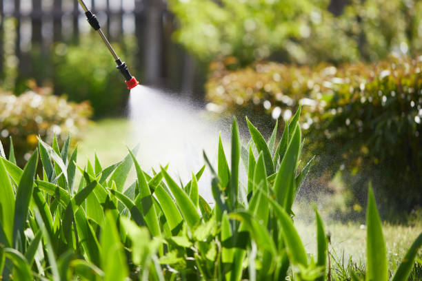 Tamper-Resistant Bait Stations for Rodents in Minco
