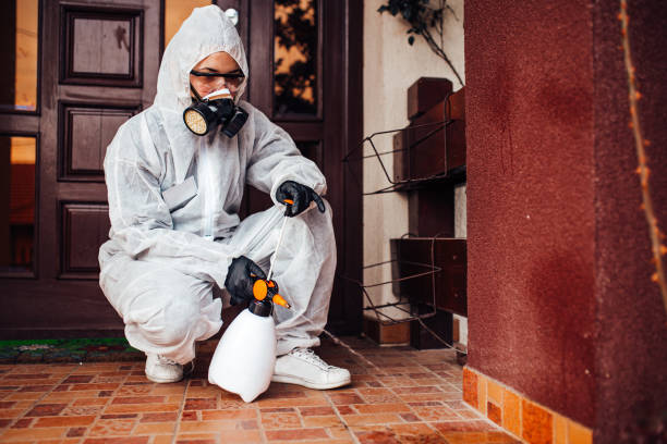 Attic and Crawl Space Rodent Treatment in Minco